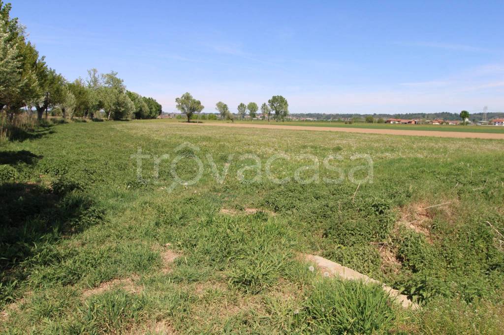 immagine annuncio 1 di 7