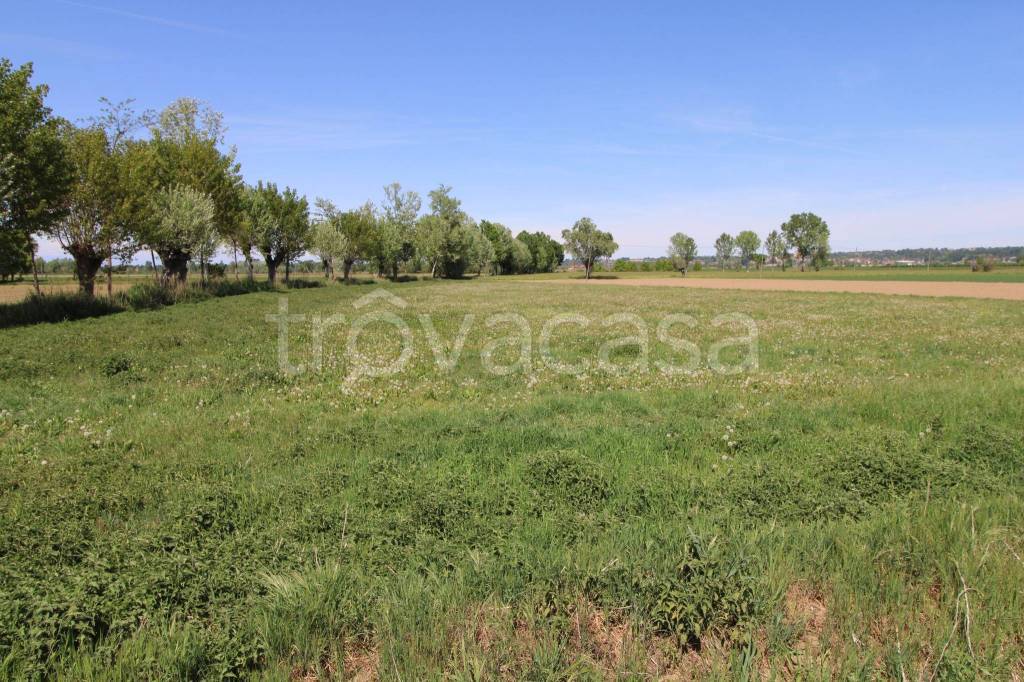 immagine annuncio 2 di 7