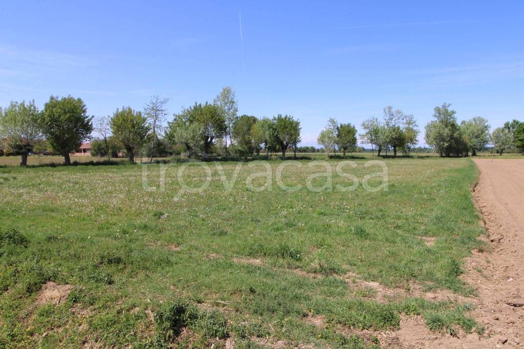 immagine annuncio 4 di 7