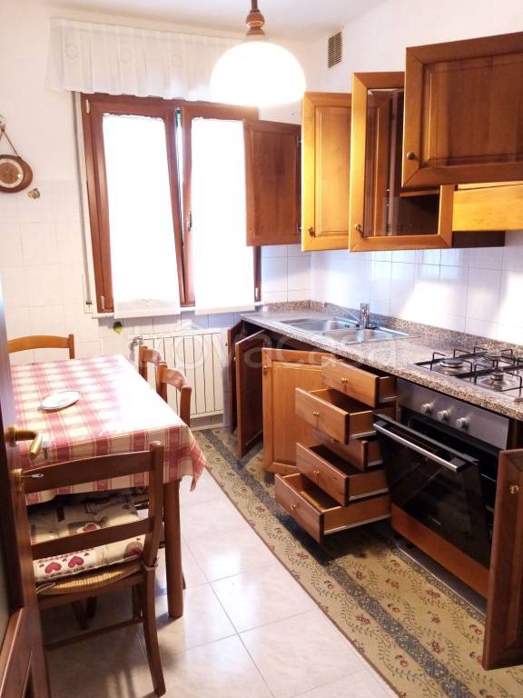 immagine annuncio 2 di 11