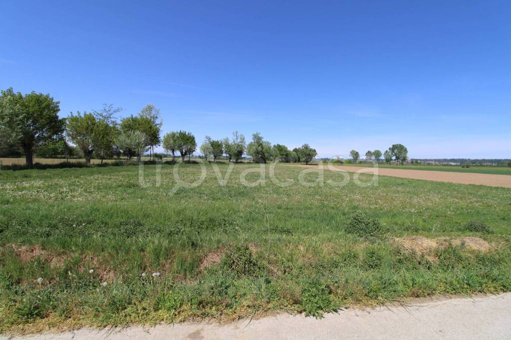 immagine annuncio 5 di 7