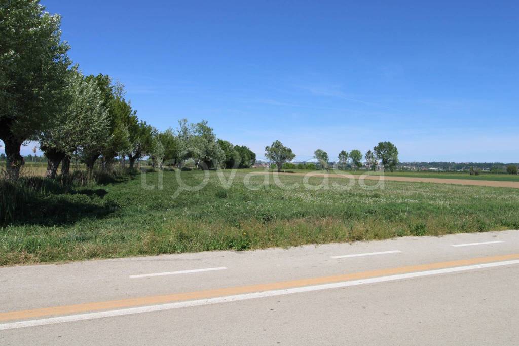 immagine annuncio 6 di 7