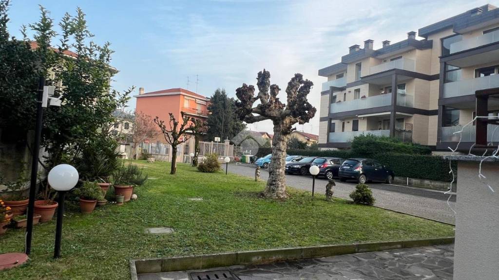 immagine annuncio 7 di 15