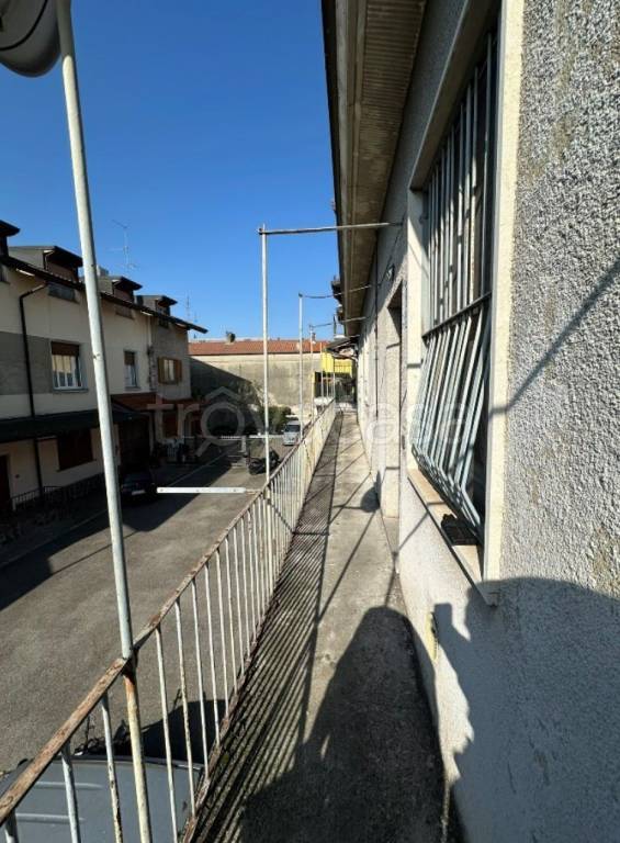 immagine annuncio 5 di 11