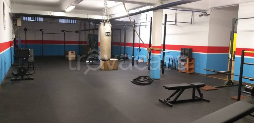 immagine annuncio 3 di 13