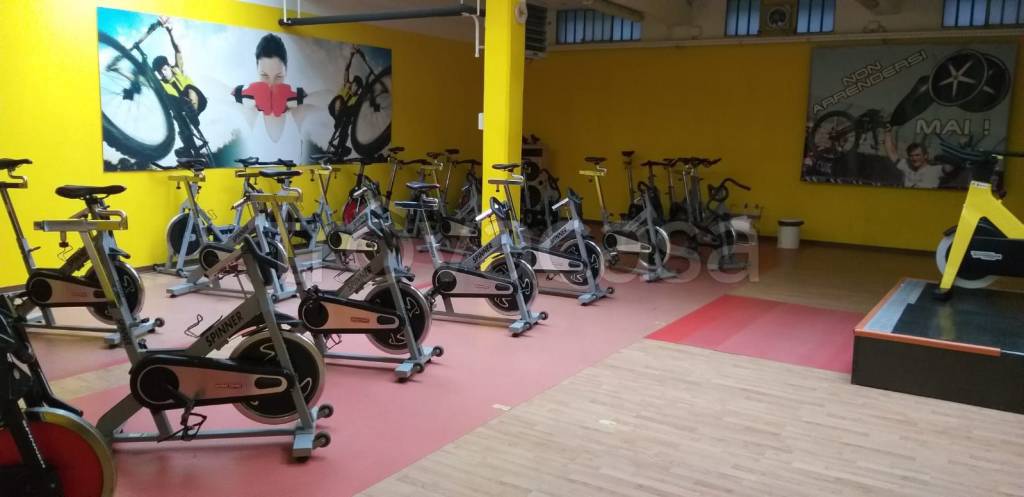 immagine annuncio 6 di 13