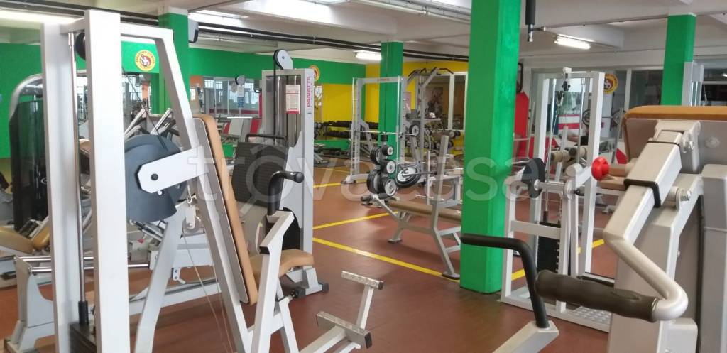 immagine annuncio 9 di 13