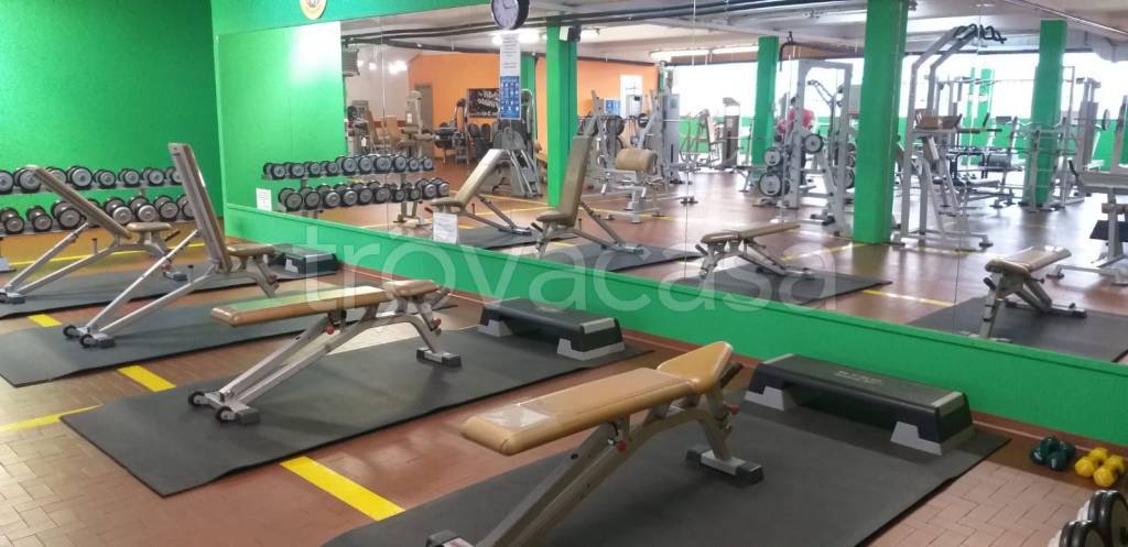 immagine annuncio 10 di 13