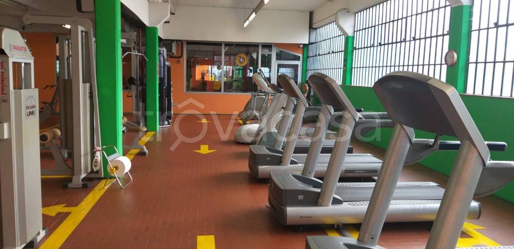 immagine annuncio 11 di 13