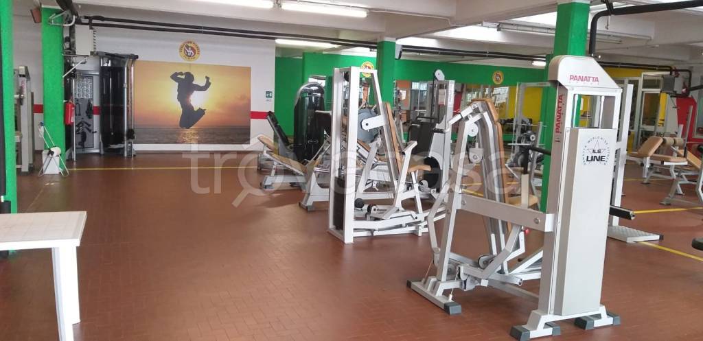 immagine annuncio 12 di 13