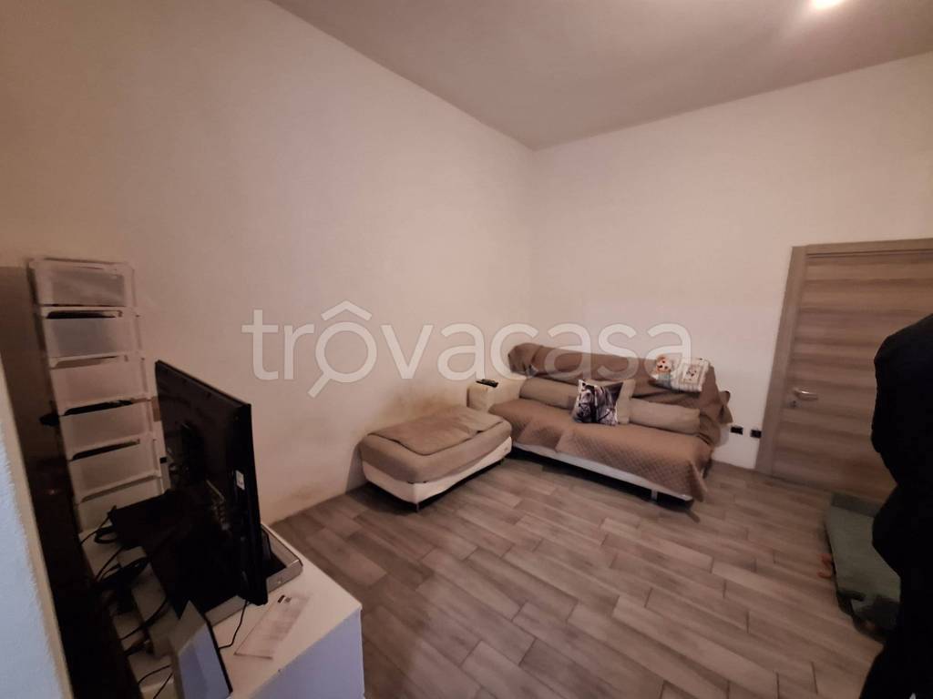 immagine annuncio 3 di 14