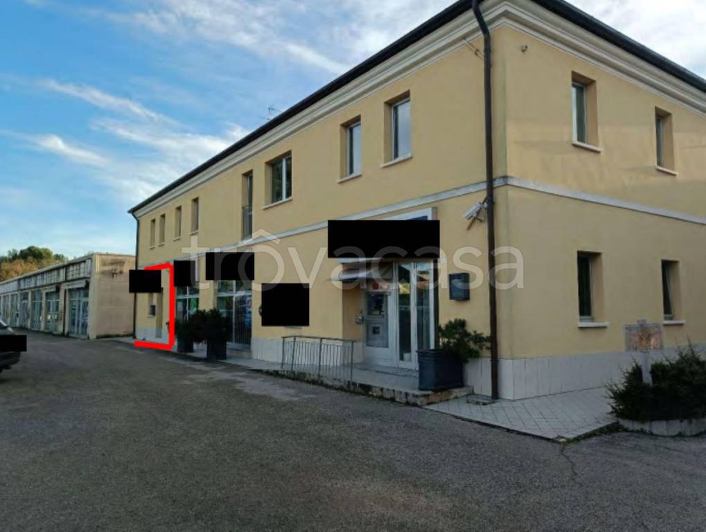 immagine annuncio 5 di 11