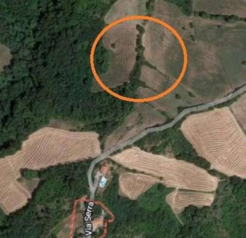 immagine annuncio 5 di 11