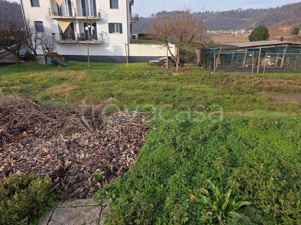 immagine annuncio 1 di 6