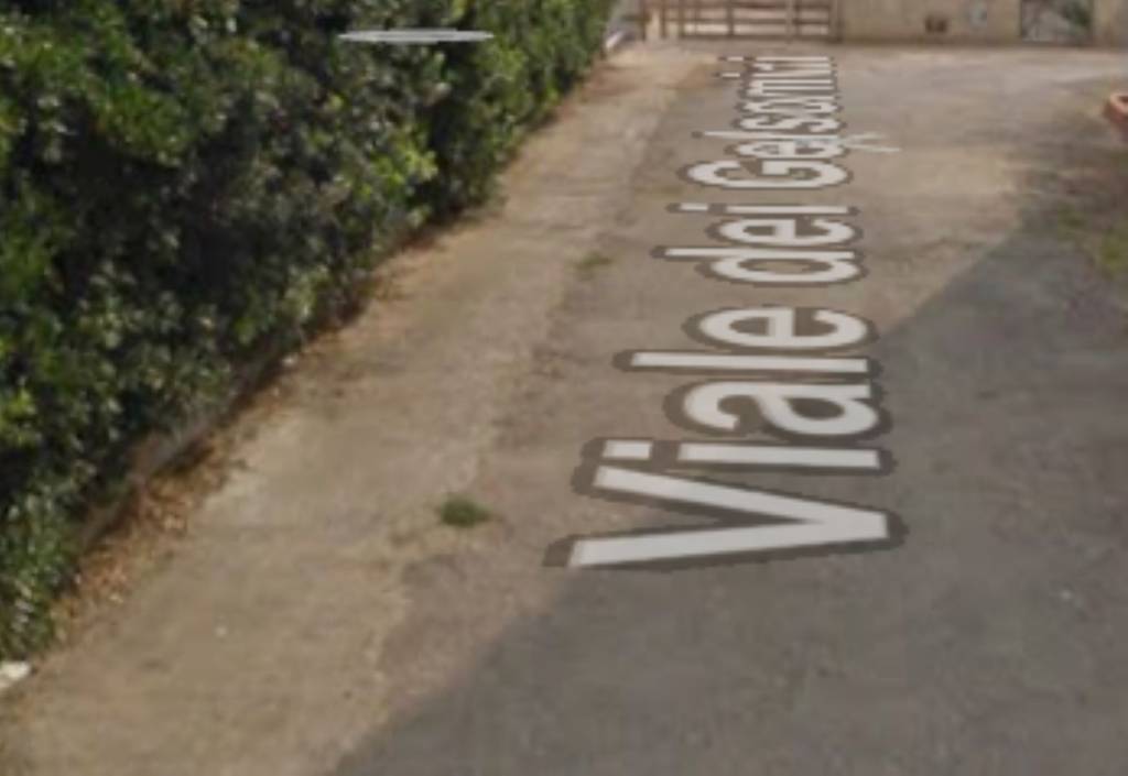 immagine annuncio 2 di 10