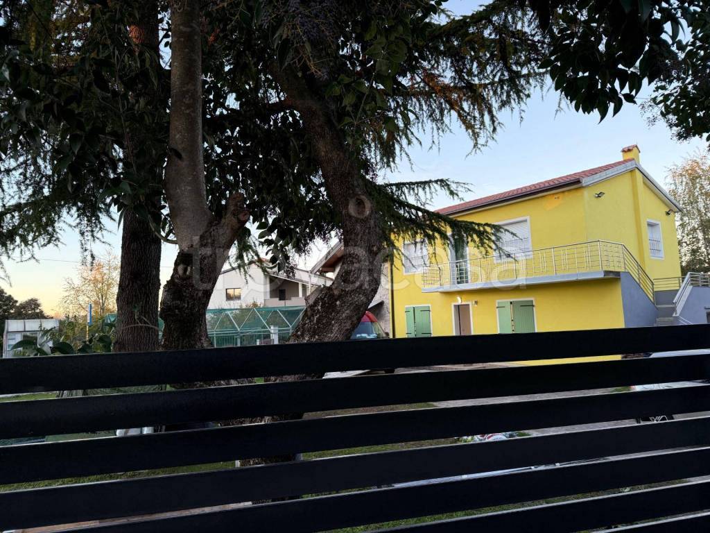 immagine annuncio 10 di 11