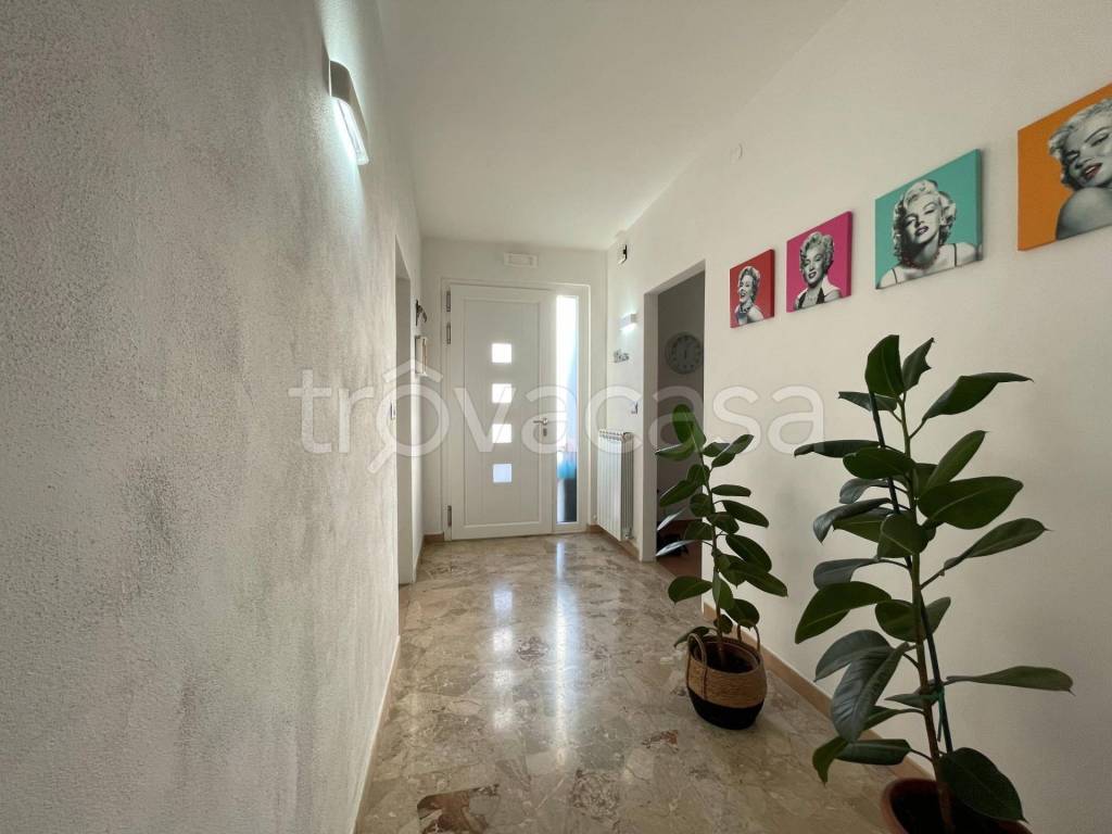 immagine annuncio 1 di 14