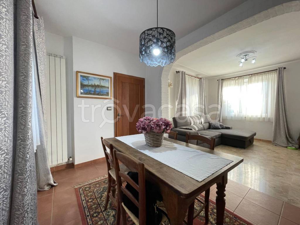 immagine annuncio 5 di 14