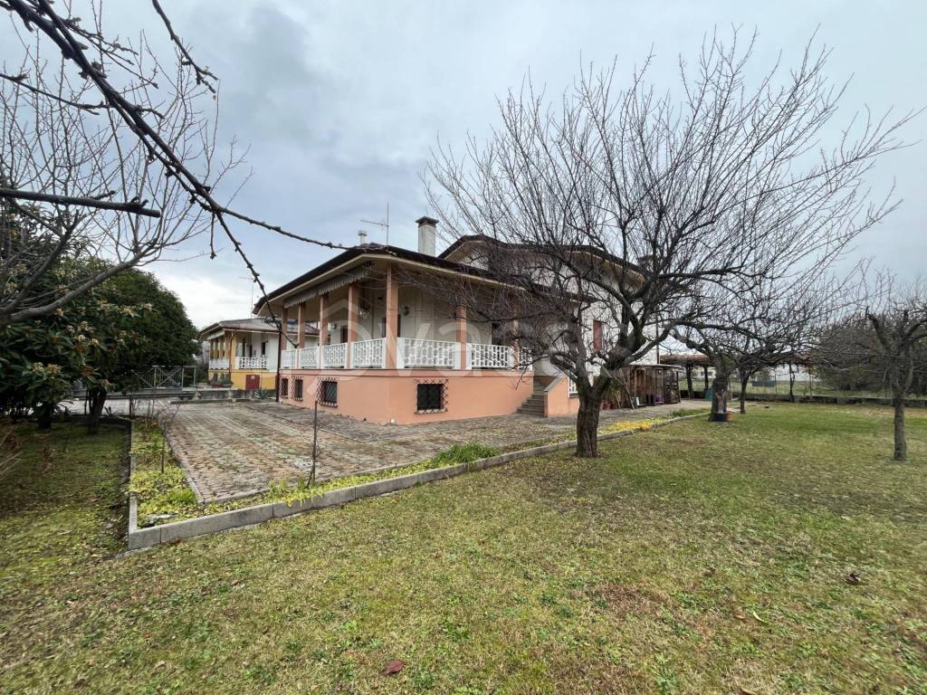 immagine annuncio 1 di 13