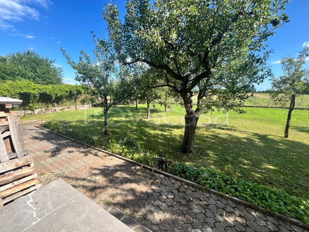 immagine annuncio 5 di 13