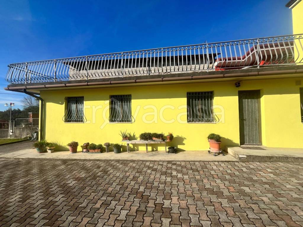 immagine annuncio 11 di 13