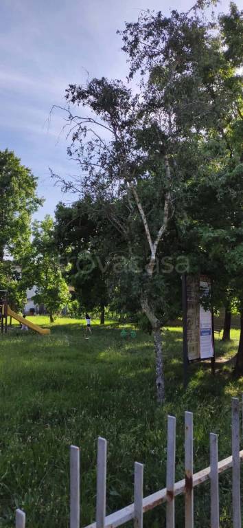 immagine annuncio 13 di 14