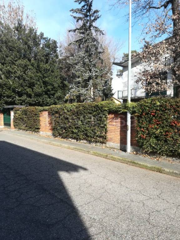 immagine annuncio 3 di 6