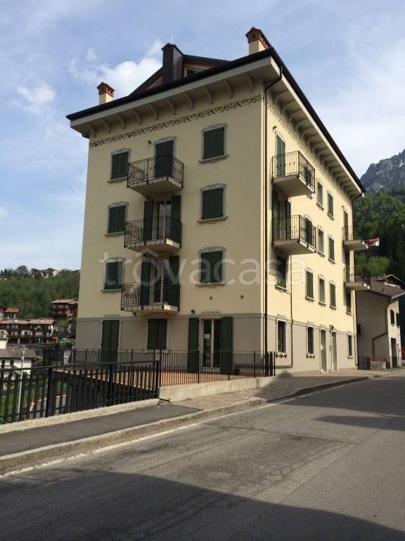 immagine annuncio 7 di 14