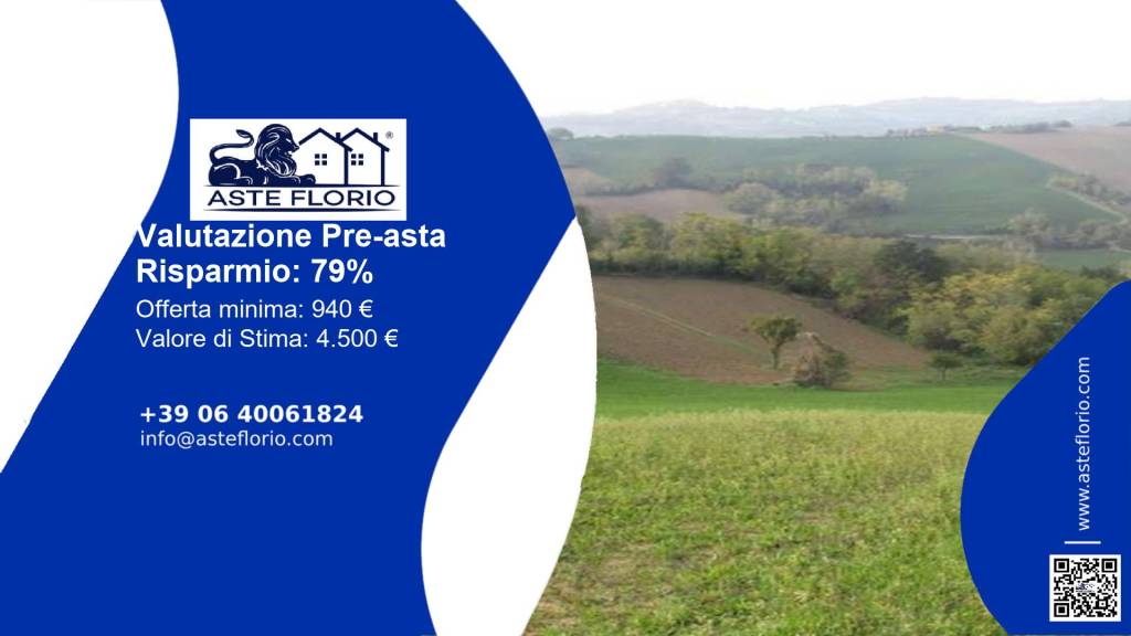 immagine annuncio 1 di 12