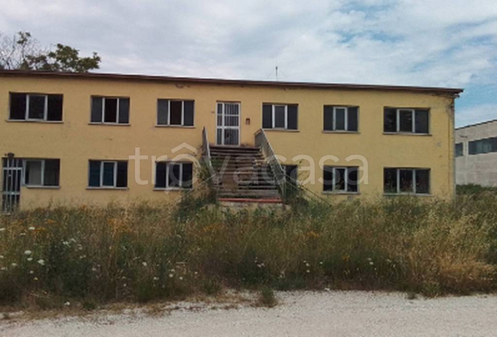 immagine annuncio 3 di 9