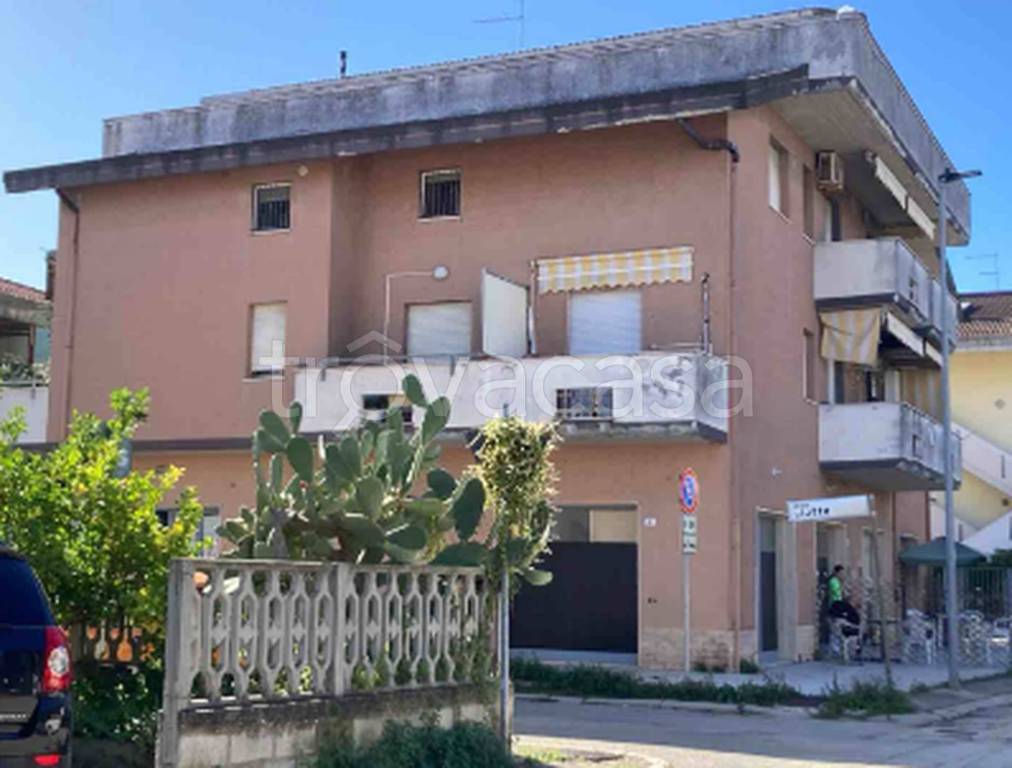 immagine annuncio 1 di 12