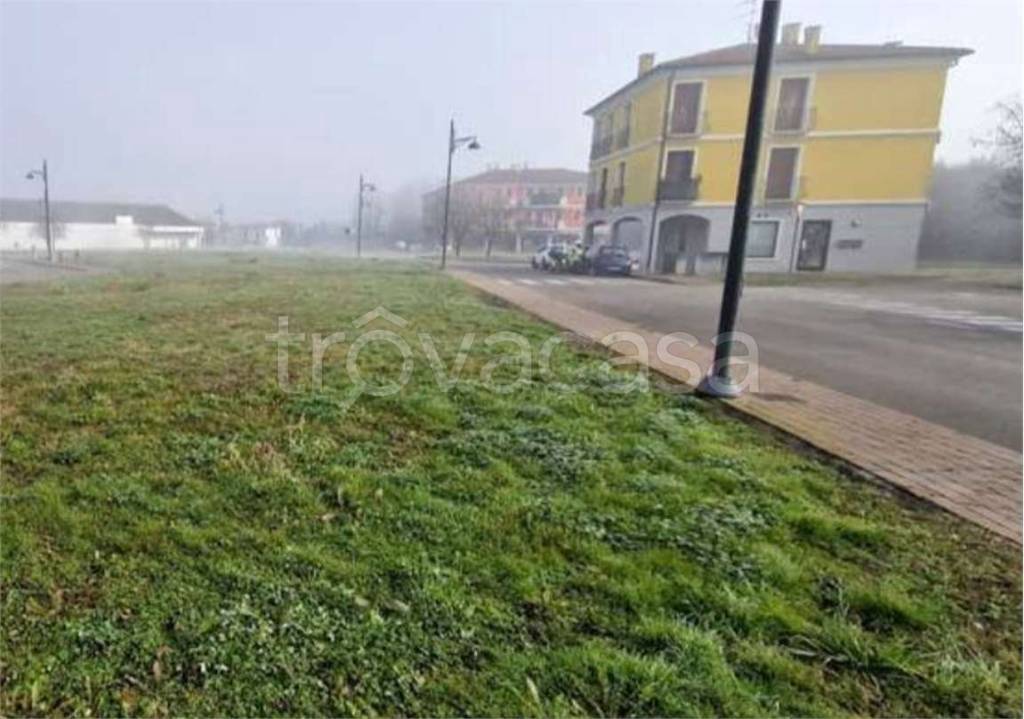 immagine annuncio 3 di 13