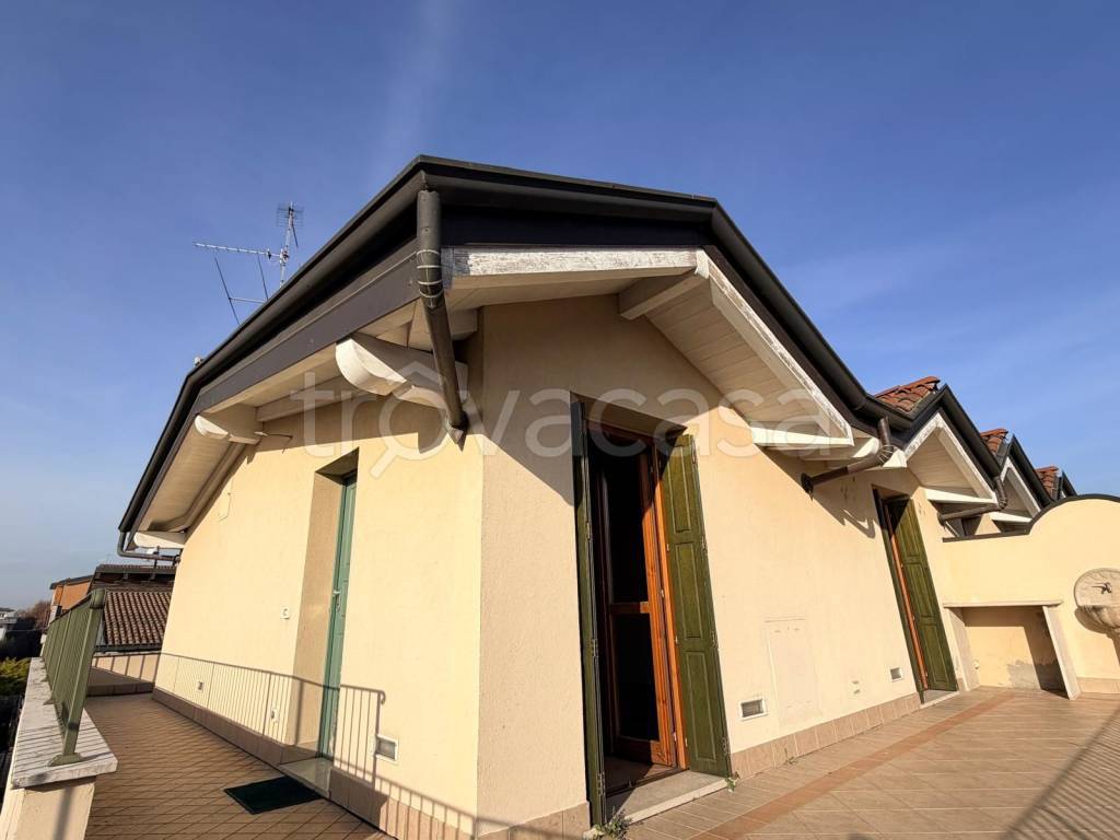 immagine annuncio 10 di 11