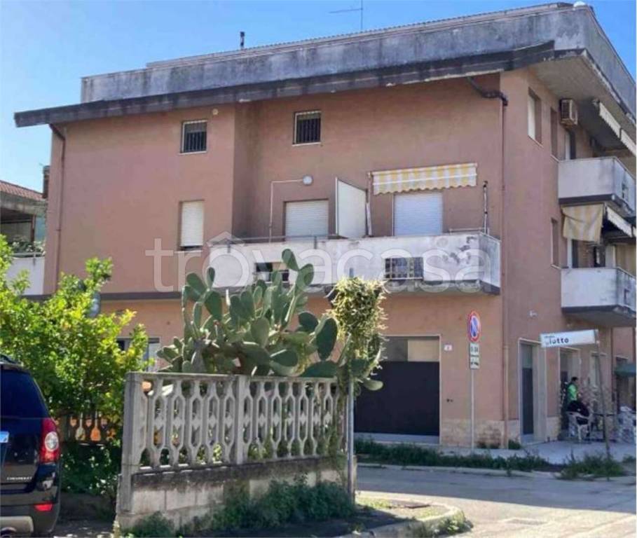 immagine annuncio 1 di 14