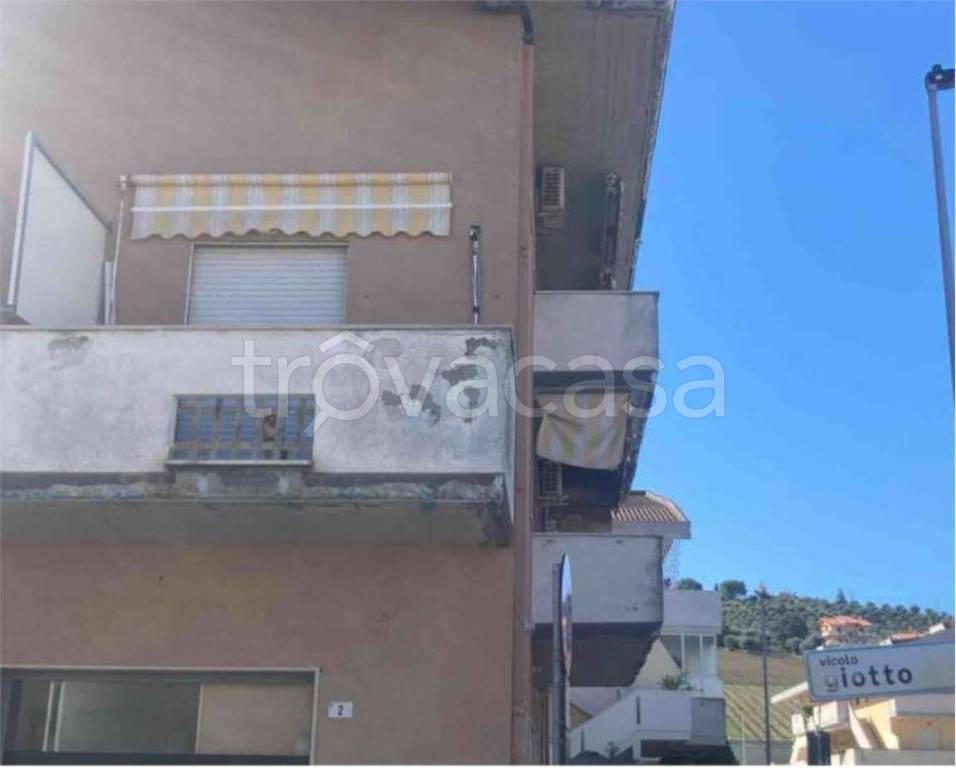 immagine annuncio 3 di 14