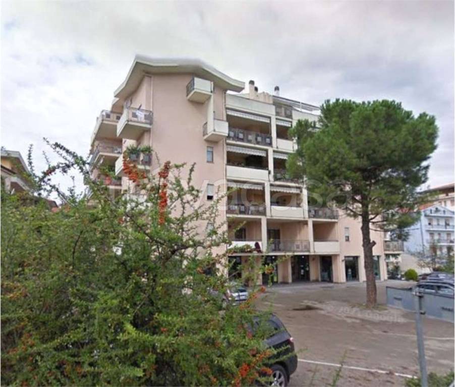 immagine annuncio 2 di 12