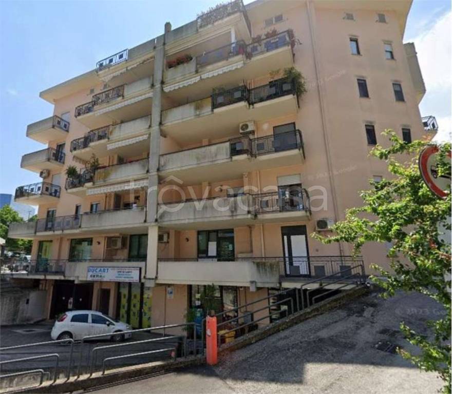 immagine annuncio 5 di 12