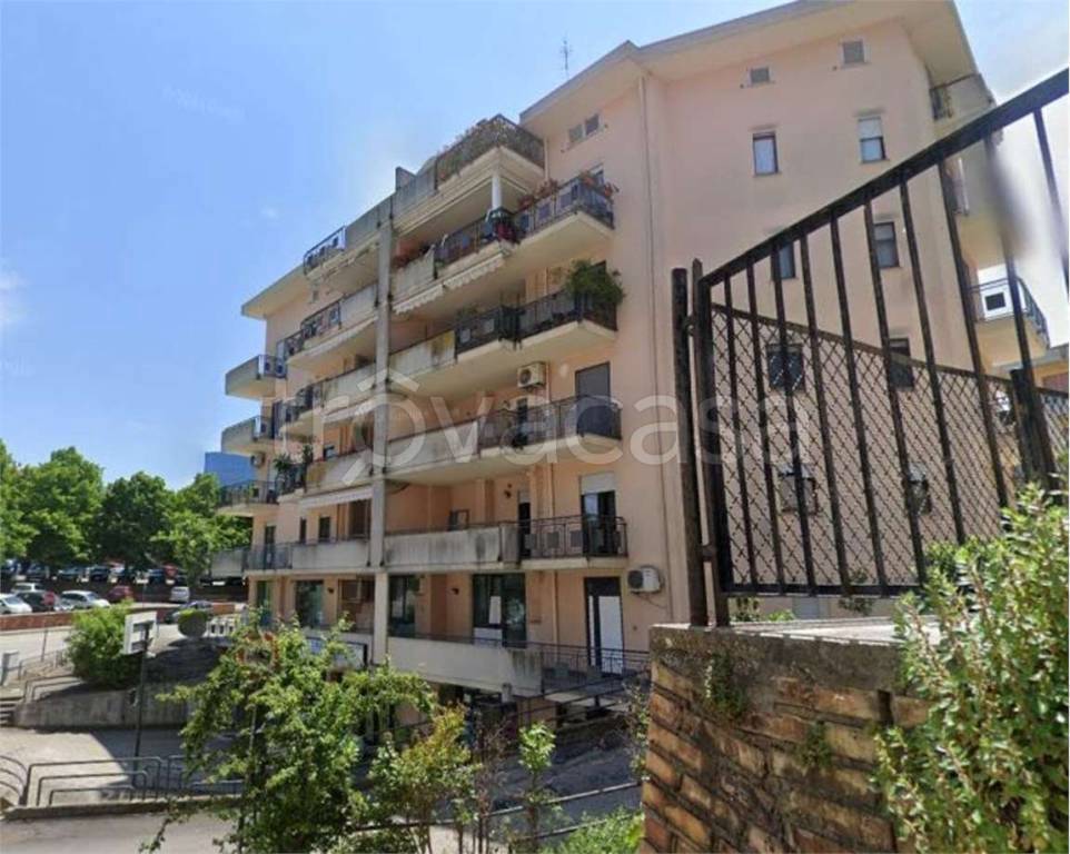 immagine annuncio 6 di 12