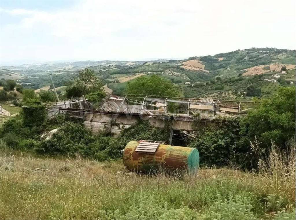 immagine annuncio 6 di 11