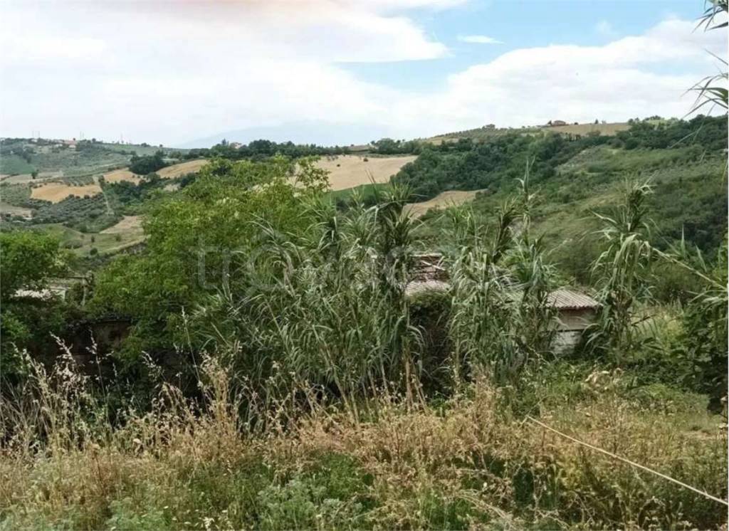 immagine annuncio 7 di 11