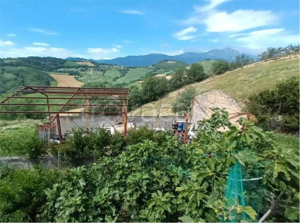 immagine annuncio 9 di 11