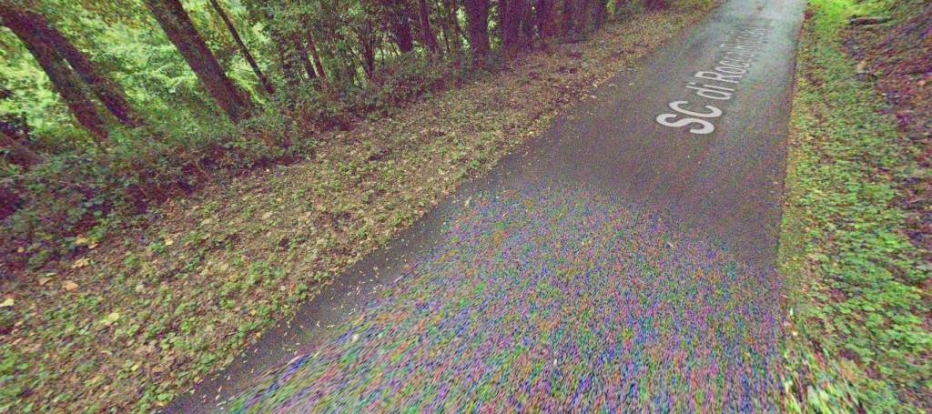 immagine annuncio 5 di 12