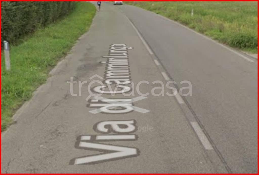 immagine annuncio 2 di 12