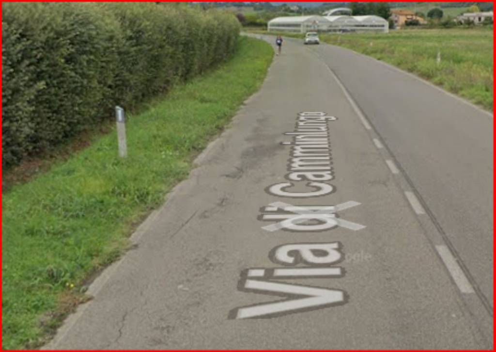 immagine annuncio 3 di 12