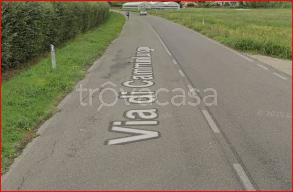 immagine annuncio 4 di 12