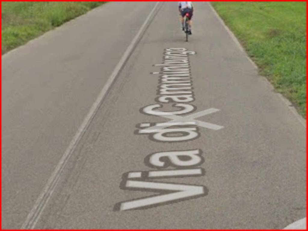 immagine annuncio 5 di 12