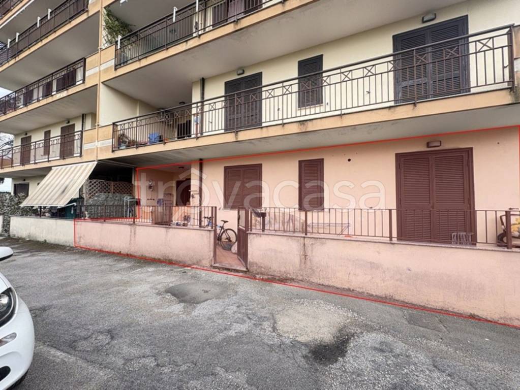 immagine annuncio 3 di 12