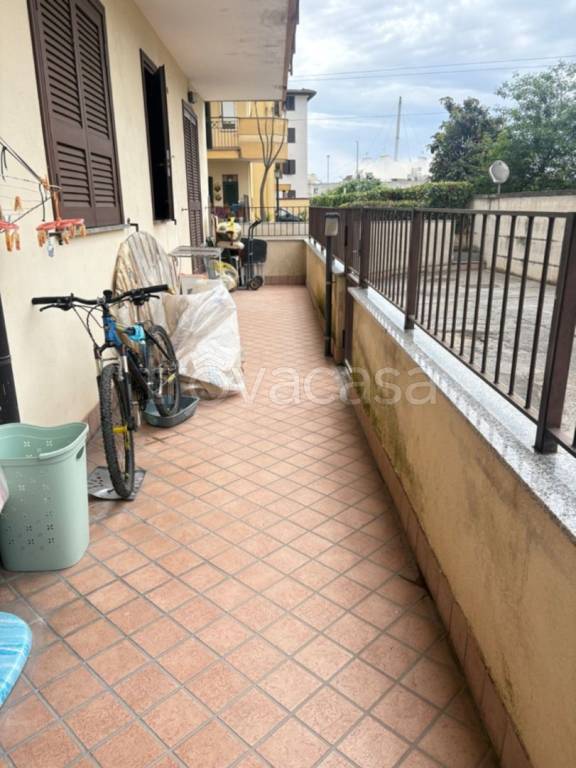 immagine annuncio 4 di 12