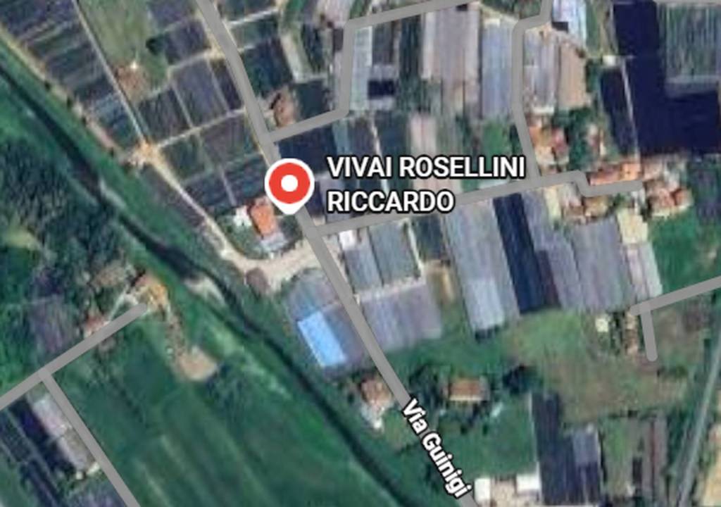 immagine annuncio 2 di 13