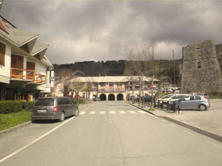 immagine annuncio 4 di 14